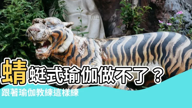 【蜻蜓式 瑜伽做不了】蜻蜓式瑜伽做不了？跟著瑜伽教練這樣練
